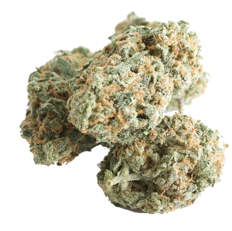White Widow